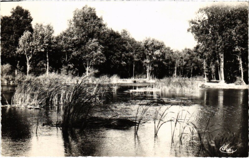 Carte postale ancienne Mennecy Les Etangs à Mennecy