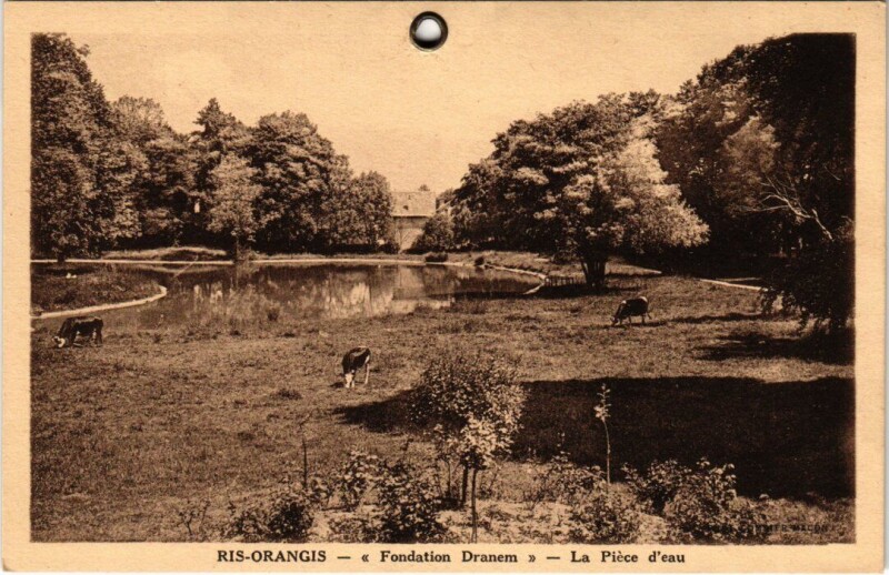Carte postale ancienne Ris-Orangis La Piece d'Eau - Fondation Dranem à Ris-Orangis