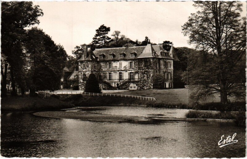 Carte postale ancienne Vaugrigneuse Le Chateau à Vaugrigneuse