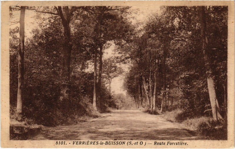 Carte postale ancienne Verrieres-le-Buisson Route Forestiere