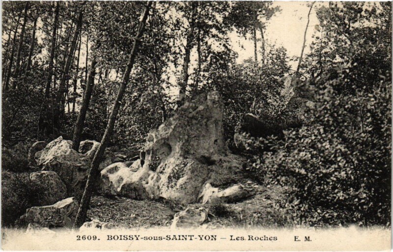 Carte postale ancienne Boissy-sous-Saint-Yon Les Roches à Boissy-sous-Saint-Yon