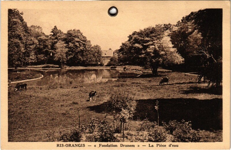 Carte postale ancienne Ris-Orangis Piece d'Eau - Fondation Dranem à Ris-Orangis