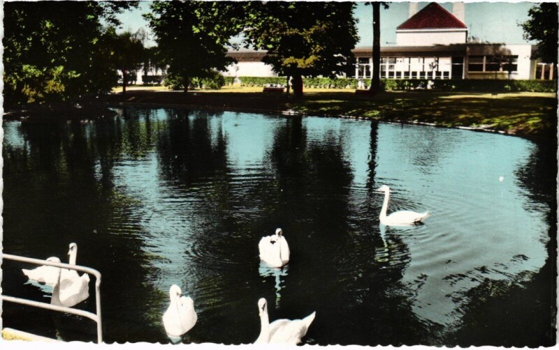 Carte postale ancienne Viry-Chatillon Les Cygnes au Parc Louis Leblanc
