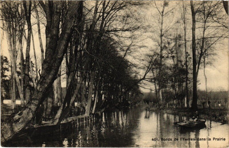 Carte postale ancienne Bods de l'Yerres dans la Prairie à Yerres