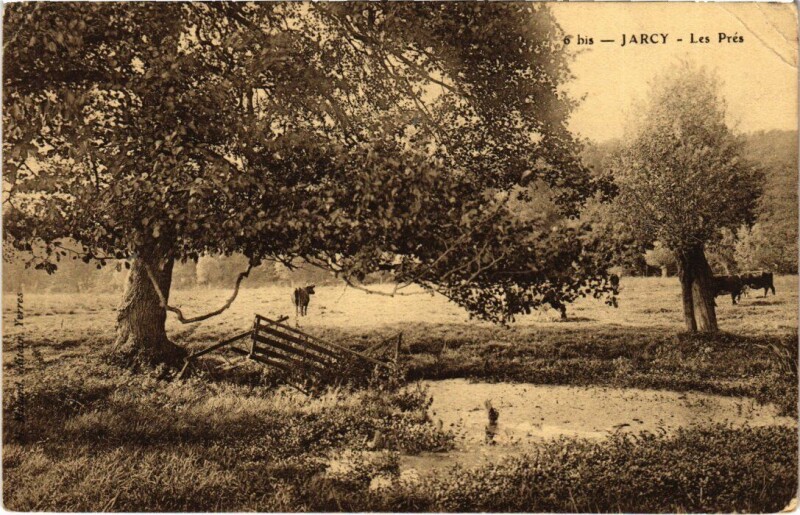 Carte postale ancienne Varennes-Jarcy Les Pres à Varennes-Jarcy