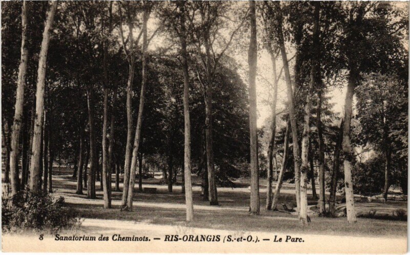 Carte postale ancienne Ris-Orangis Sanatorium des Cheminots - Parc à Ris-Orangis