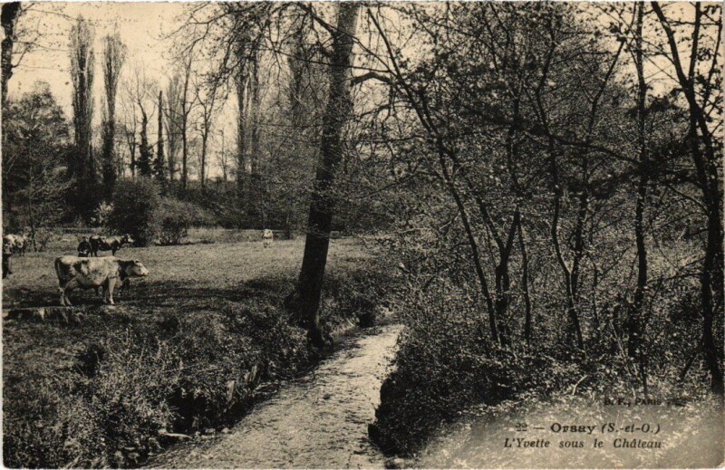 Carte postale ancienne Orsay L'Yvette sous le Chateau à Orsay