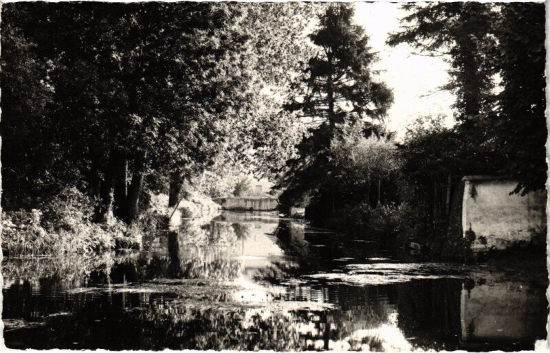 Carte postale ancienne Maisse Les Bords de l'Essonne à Maisse