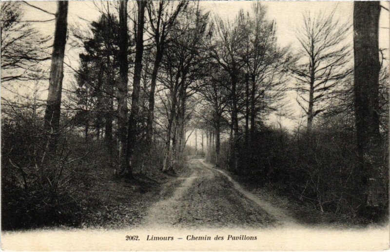 Carte postale ancienne Limours Chemin des Pavillons à Limours