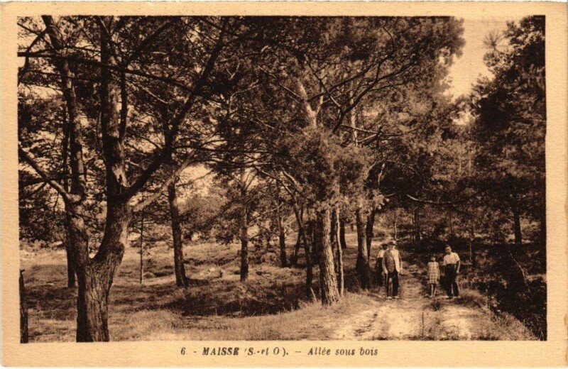 Carte postale ancienne Maisse Allee Sous Bois à Maisse