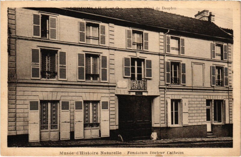 Carte postale ancienne Longjumeau Musee d'Histoire Naturelle à Longjumeau