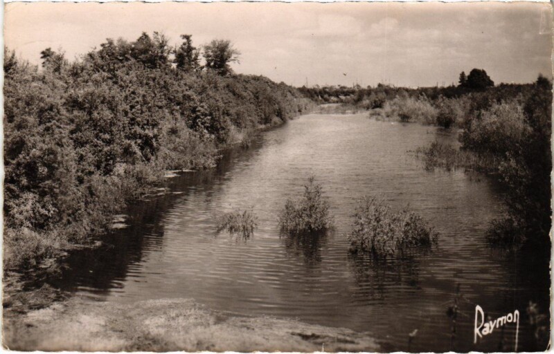 Carte postale ancienne Morsang-sur-Orge Un Coin de l'Etang de Piketti à Morsang-sur-Orge