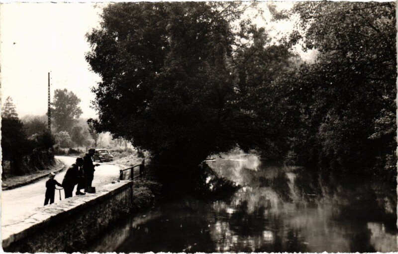 Carte postale ancienne Environs de Janville-sur-Juine Les Bords de la Juine à Janville-sur-Juine