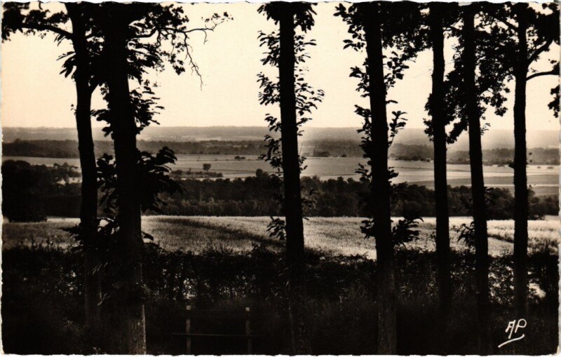 Carte postale ancienne Bligny - Panorama pris de Fontenay