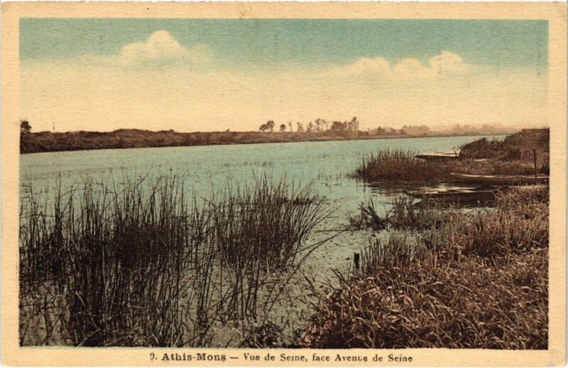 Carte postale ancienne Athis-Mons Vue de Seine - face Avenue de Seine à Athis-Mons