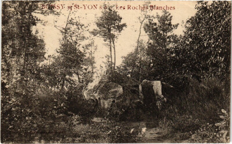 Carte postale ancienne Boissy-sous-Saint-Yon Les Roches Blanches à Boissy-sous-Saint-Yon