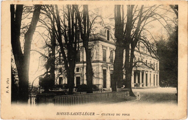 Carte postale ancienne Boissy Chateau du Piple France