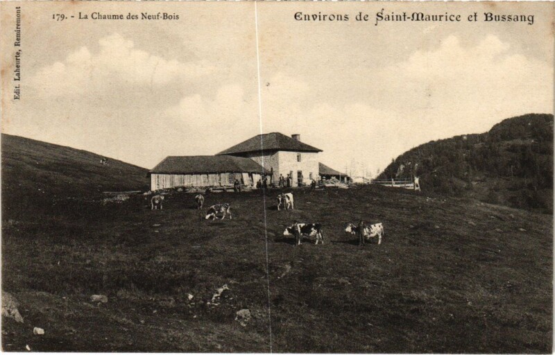 Carte postale ancienne Saint-Maurice Le Square du Val d'Osne France à Saint-Maurice