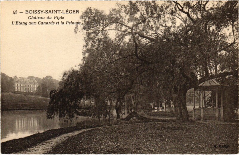 Carte postale ancienne Boissy Chateau du Piple- L'Etang aux Canards France