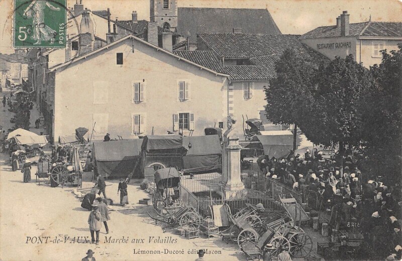 Carte postale ancienne Pont De Vaux - Marche Aux Volailles à Pont-de-Vaux