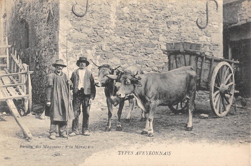Carte postale ancienne Types Aveyronnais