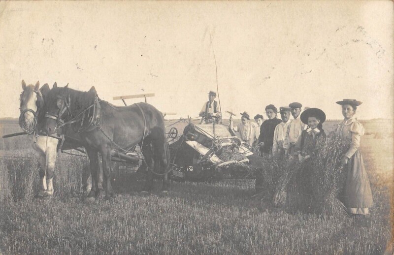 Carte postale ancienne Beauce - Une Moissonneuse Lieuse - Carte Photo - Scene D'Agriculture