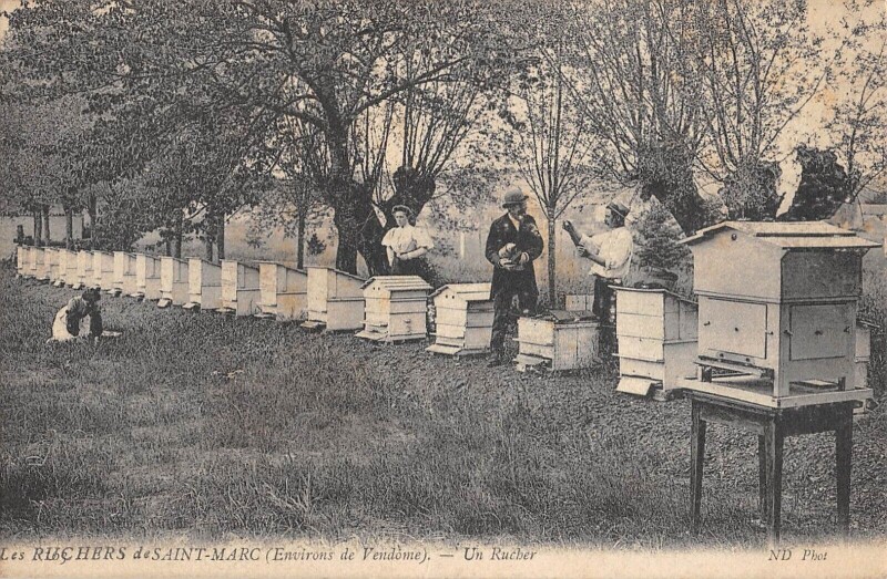 Carte postale ancienne Les Ruchers De Saint Marc / Environs De Vendome / Un Rucher