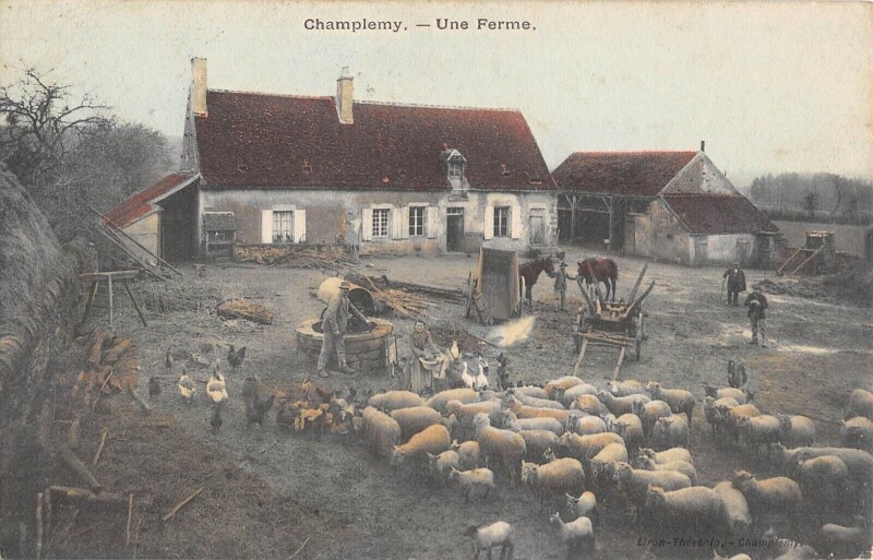 Carte postale ancienne Champlemy - Une Ferme à Champlemy