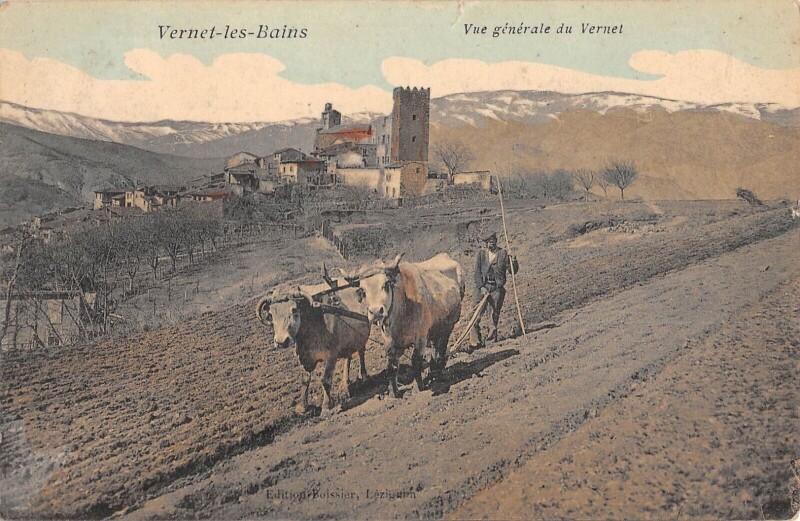 Carte postale ancienne Vernet Les Bains / Vue Generale Du Vernet / Scene De Labour à Vernet-les-Bains