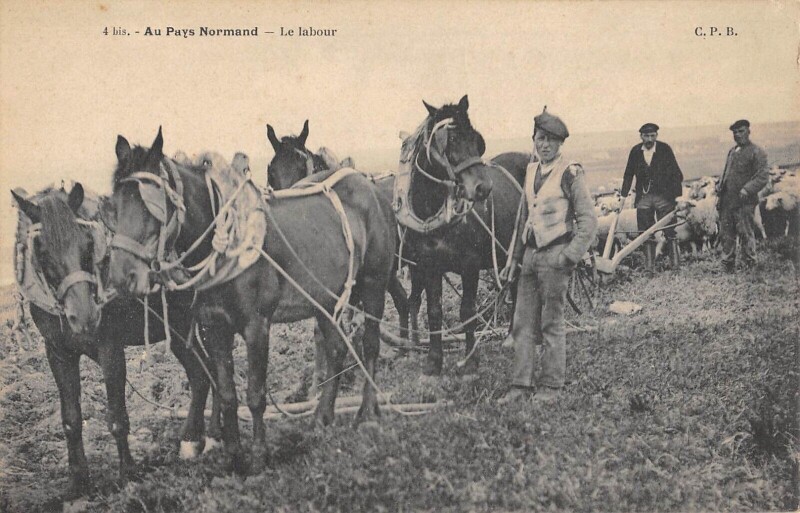 Carte postale ancienne Au Pays Normand - Le Labour