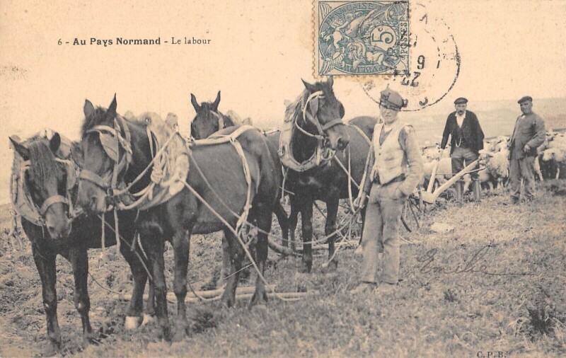 Carte postale ancienne Au Pays Normand - Le Labour