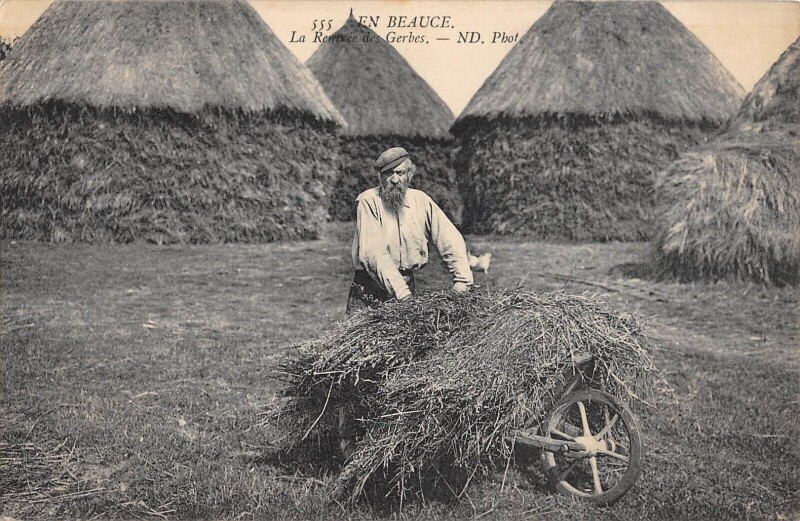 Carte postale ancienne En Beauce / La Rentree Des Gerbes