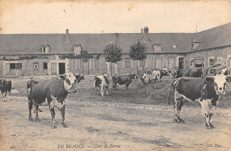 Carte postale ancienne En Beauce / Cour De Ferme