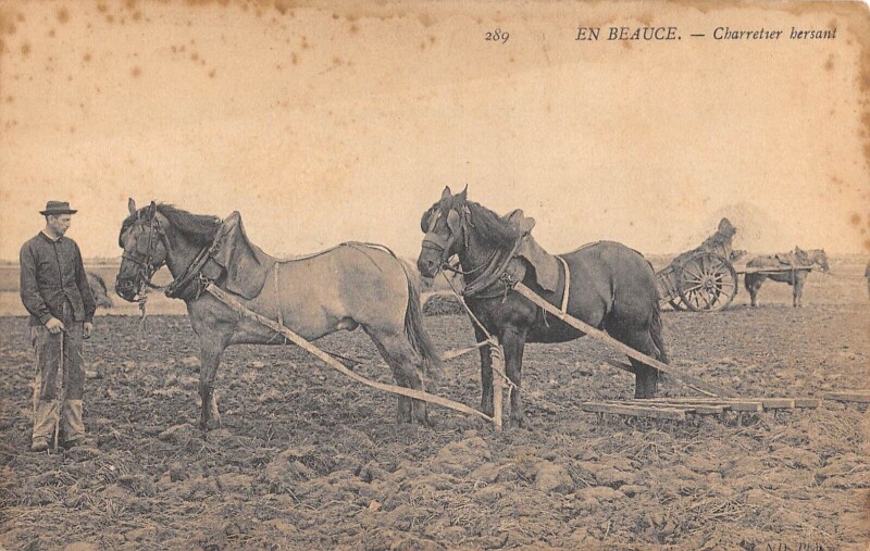 Carte postale ancienne En Beauce / Charretier Hersant