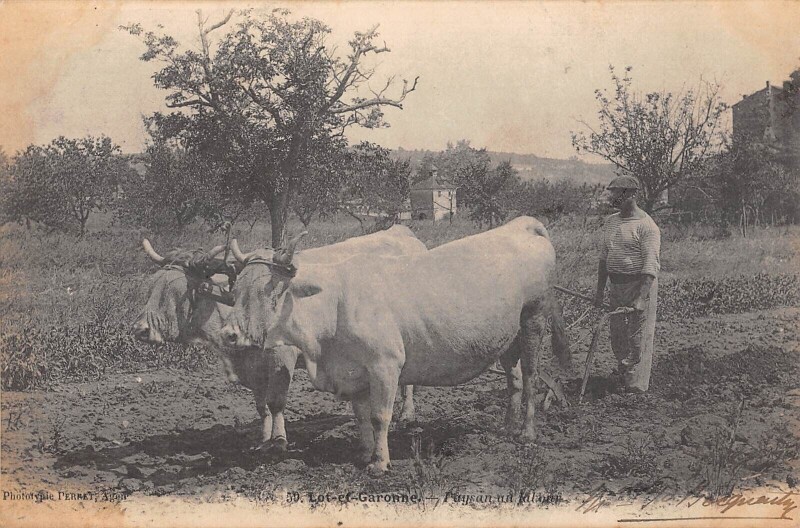 Carte postale ancienne Lot Et Garonne / Paysan Au Labour