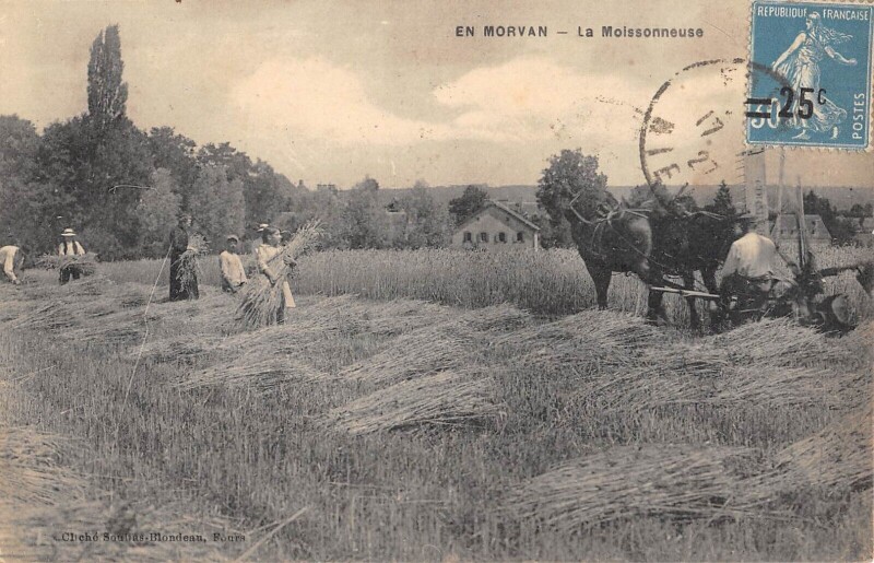 Carte postale ancienne En Morvan - La Moissonneuse