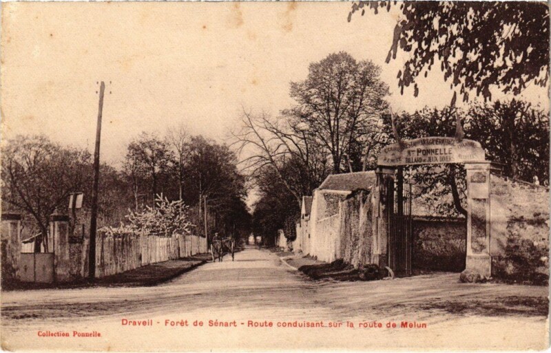 Carte postale ancienne Draveil Foret de Senart-Route conduisant France à Draveil