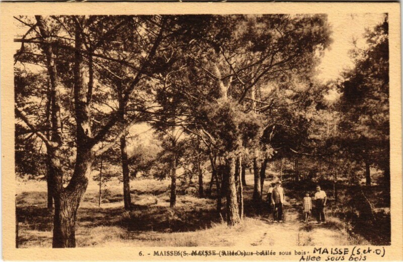 Carte postale ancienne Maisse Allee sous bois France à Maisse