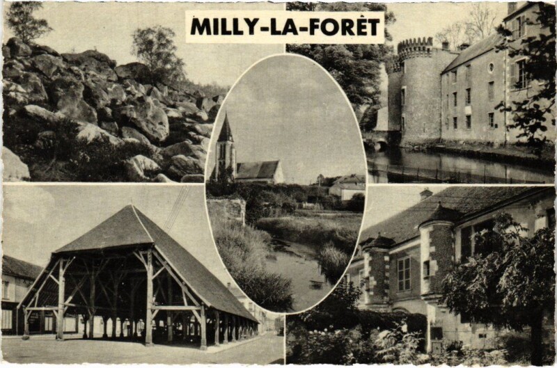 Carte postale ancienne Souvenir du Milly France
