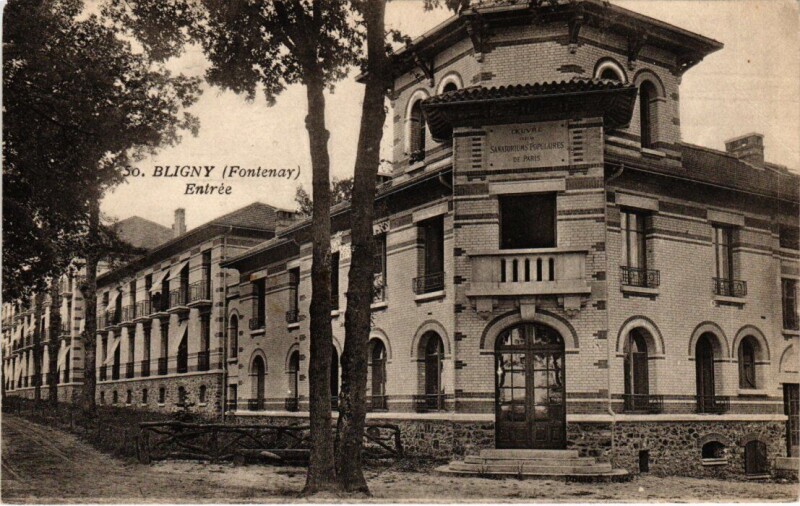 Carte postale ancienne Bligny Entree France