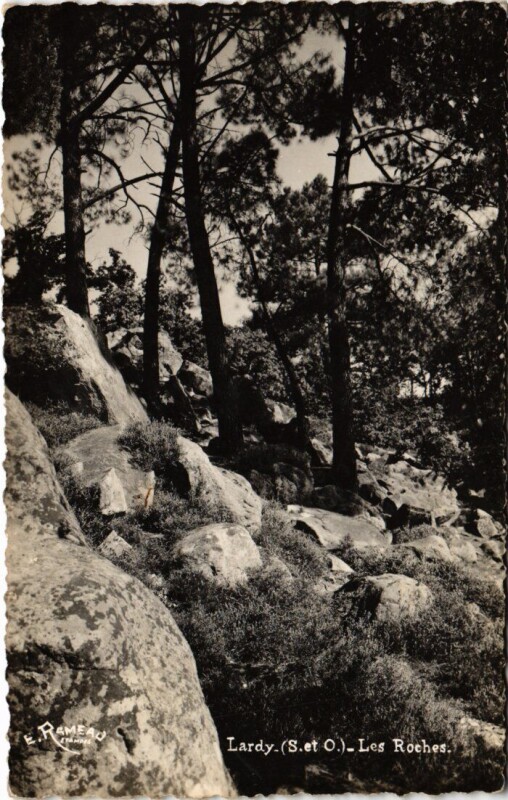 Carte postale ancienne Lardy Les Roches France à Lardy