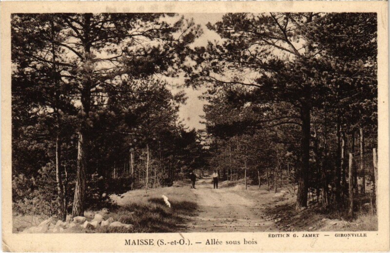 Carte postale ancienne Maisse Allee sous bois France à Maisse
