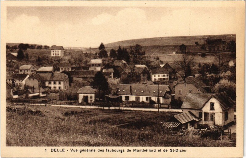 Carte postale ancienne Delle vue generale à Delle