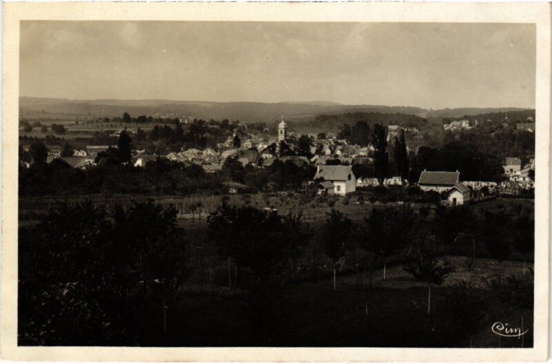 Carte postale ancienne Delle vue generale à Delle