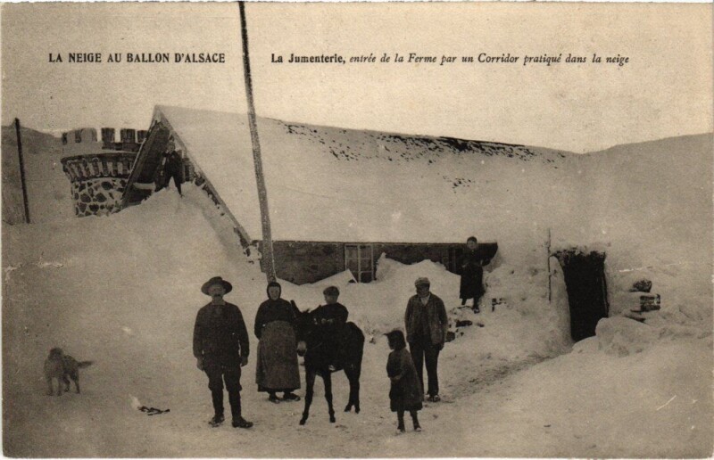 Carte postale ancienne Ballon d'Alsace La Jumenterie