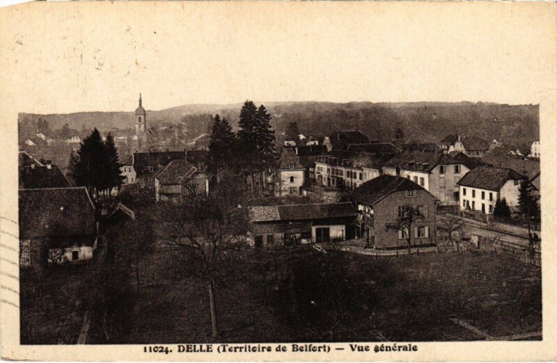 Carte postale ancienne Delle vue generale à Delle