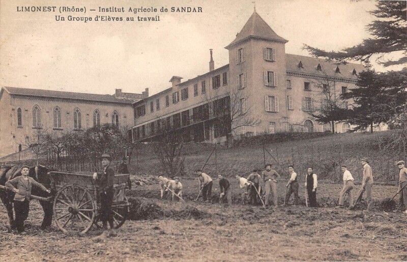 Carte postale ancienne Limonest - Institut Agricole De Sandar - Un Groupe D'Eleves Au Travail à Limonest
