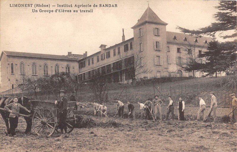 Carte postale ancienne Limonest - Institut Agricole De Sandar - Un Groupe D'Eleves Au Travail à Limonest