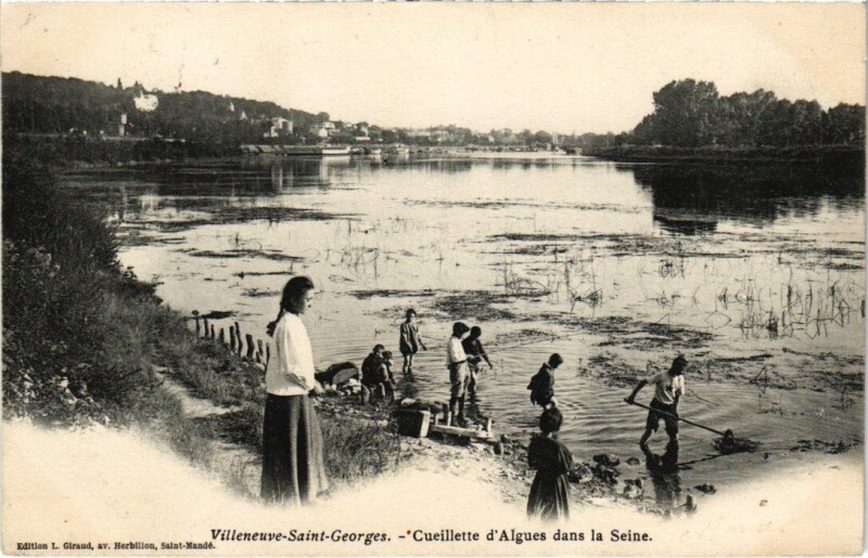 Carte postale ancienne Villeneuve Saint-Georges Cueillette d'Algues dans la Seine à Villeneuve-Saint-Georges