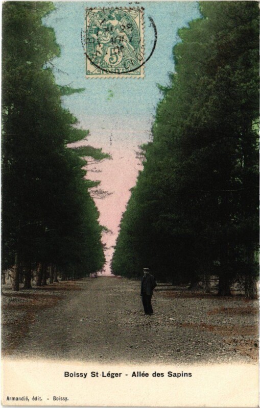 Carte postale ancienne Boissy Saint-Leger Allee des Sapins